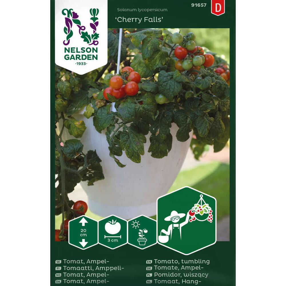 amppelitomaatti 'Cherry Falls'