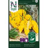 Havannapaprika, 'Draco Yellow'