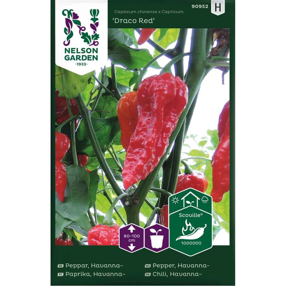 Havannapaprika 'Draco Red'