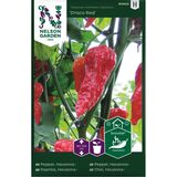 Havannapaprika, 'Draco Red'