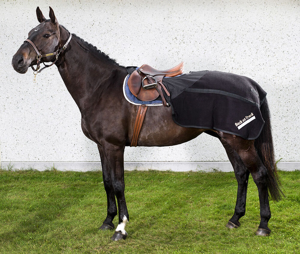 Ratsastusloimi Supreme Back on Track