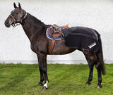 Ratsastusloimi Supreme Back on Track