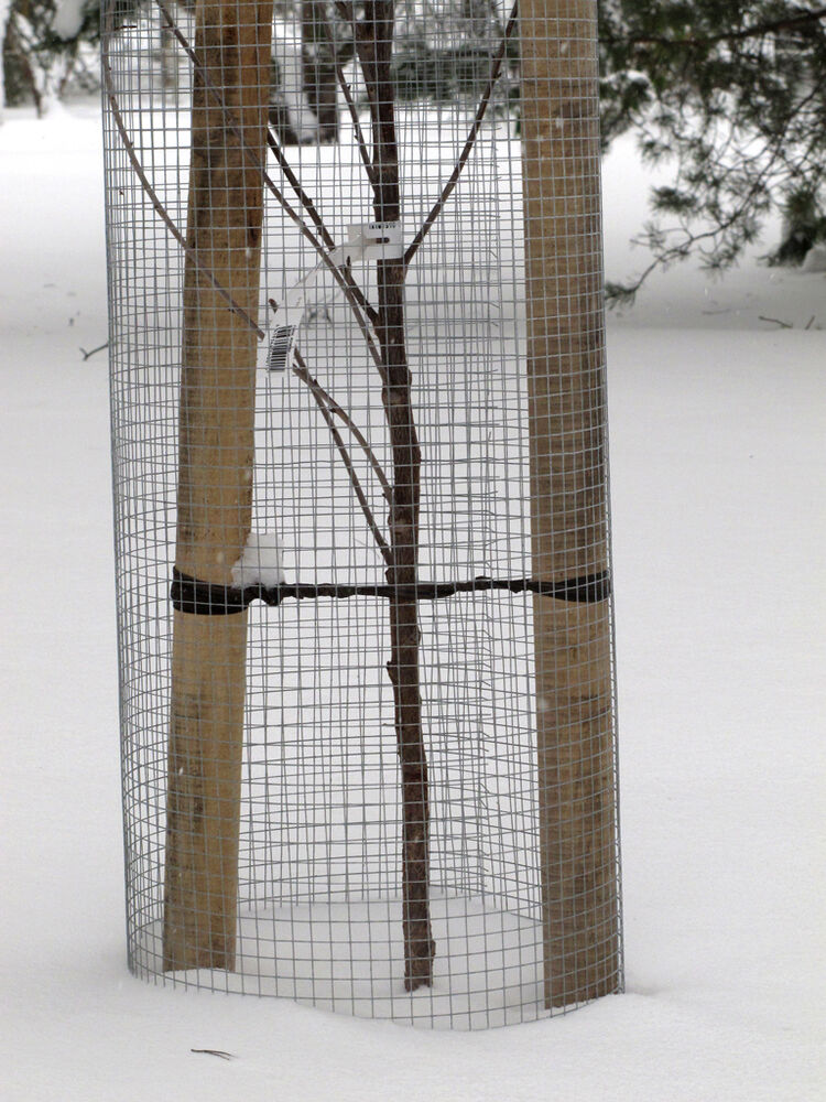 Myyräverkko 1,20 x 25 m