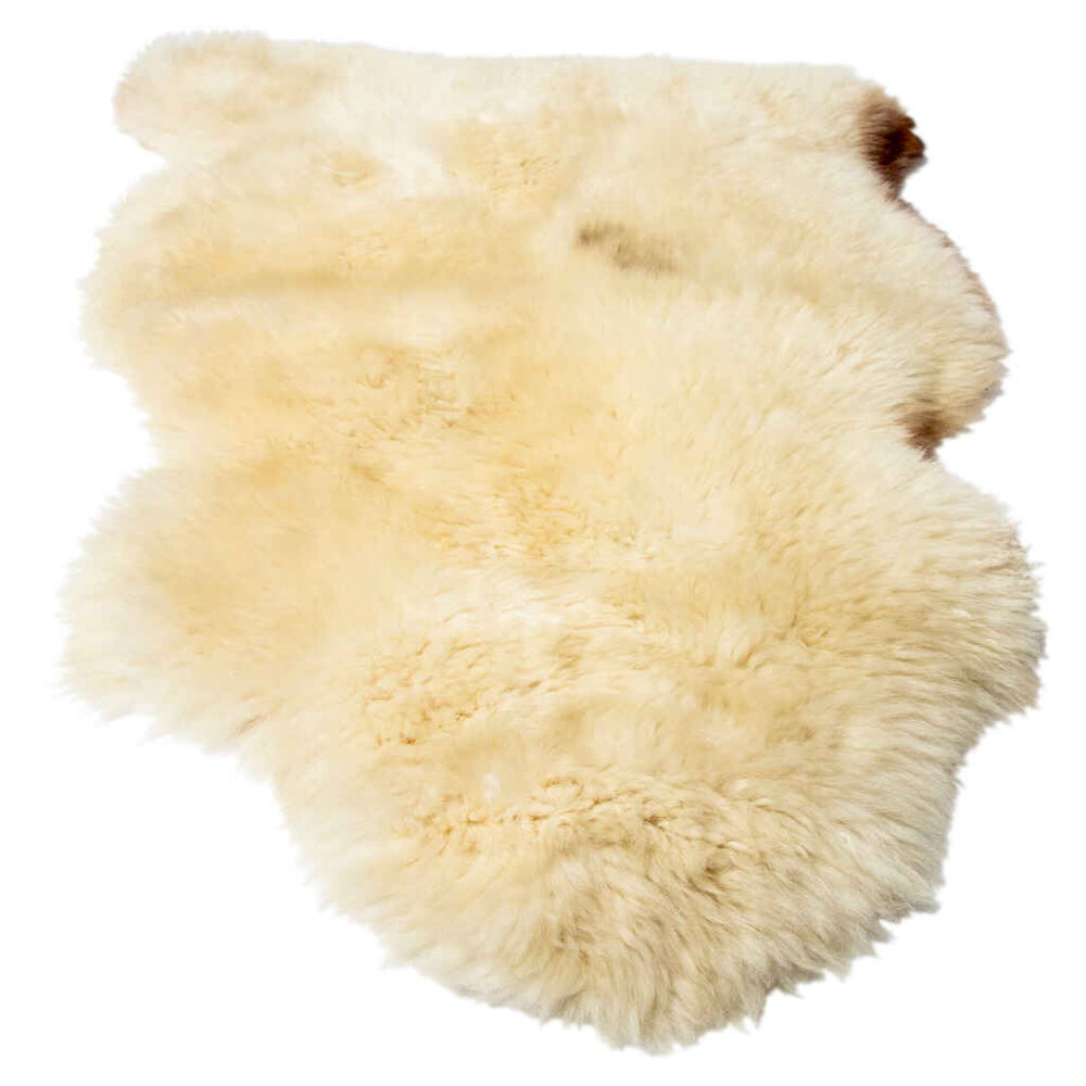 lampaantalja