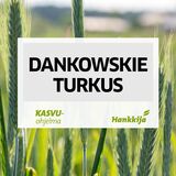 Dankowskie Turkus syysruis kemiallisesti peitattu 800 kg