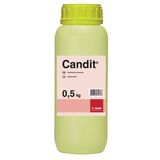 Candit®