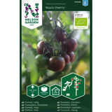 Kirsikkatomaatti, 'Black Cherry', luomu