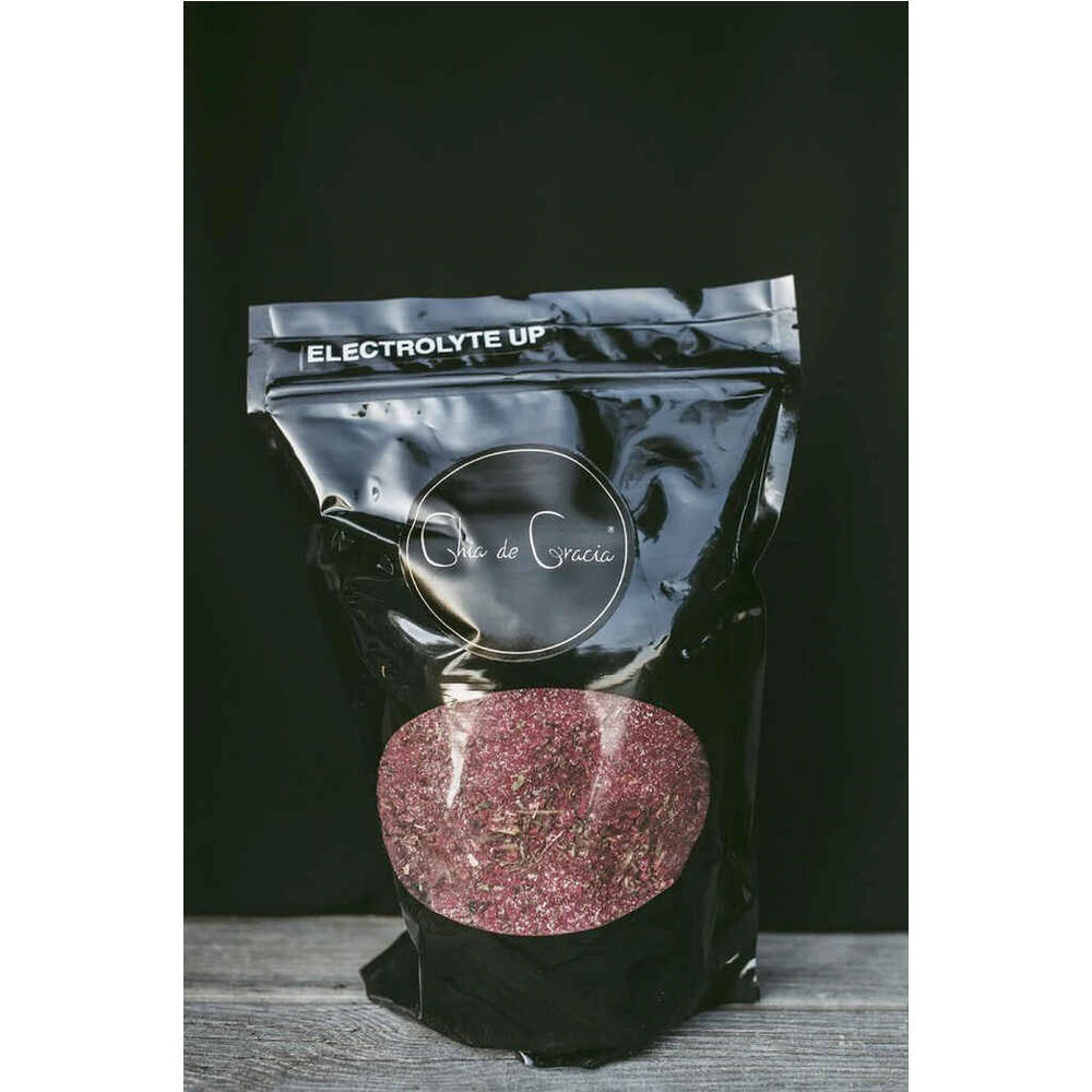 Chia de Gracia Electrolyte Up