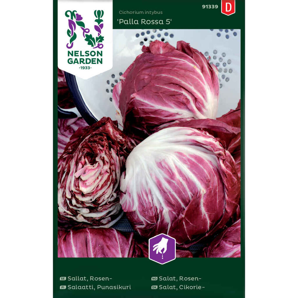 Punasikurisalaatti Palla Rossa 5
