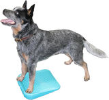 FitPAWS tasapainoramppi koiralle 35x35 cm