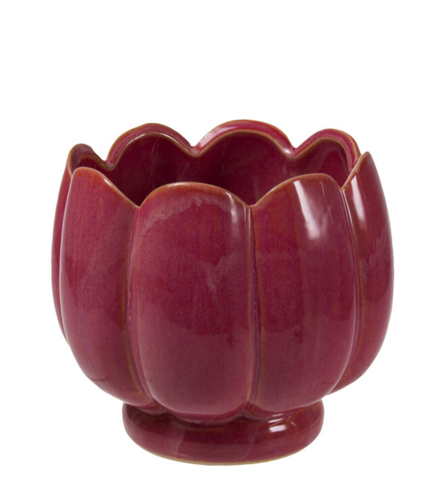 Suojaruukku tumma rosa 15x15x13,5 cm