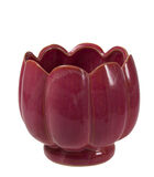 Suojaruukku tumma rosa 15x15x13,5 cm