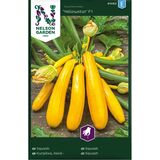 Kesäkurpitsa, 'Yellowstar' F1