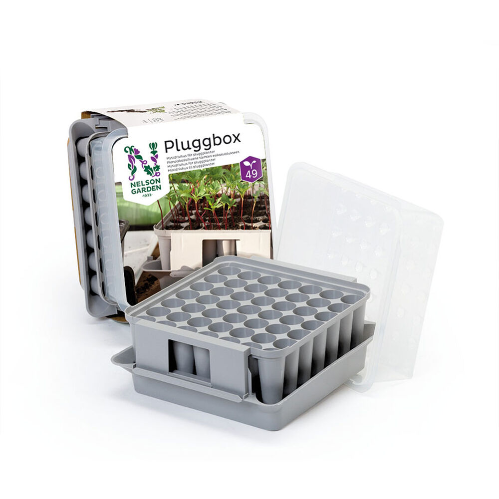 Pienoiskasvihuone Pluggbox Nelson