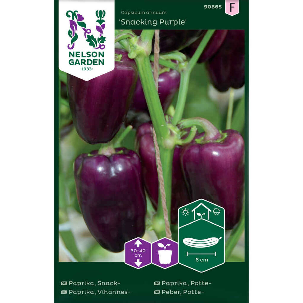 Vihannespaprika Snacking Purple