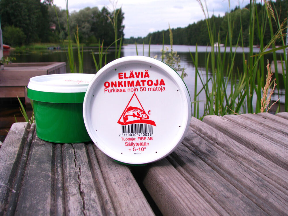 Eläviä onkimatoja