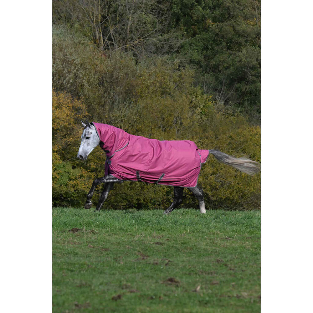 Bucas Freedom Sadeloimi 150g fullneck, vadelma