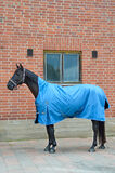 Sadeloimi EQCode 50g sadeloimi 600D high neck  vaaleansininen