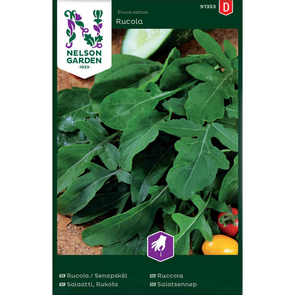 Salaatti rucola