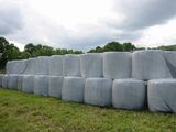 LINTUVERKKO 8X25M MUSTA 26G/M2