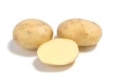 Siemenperuna Colomba