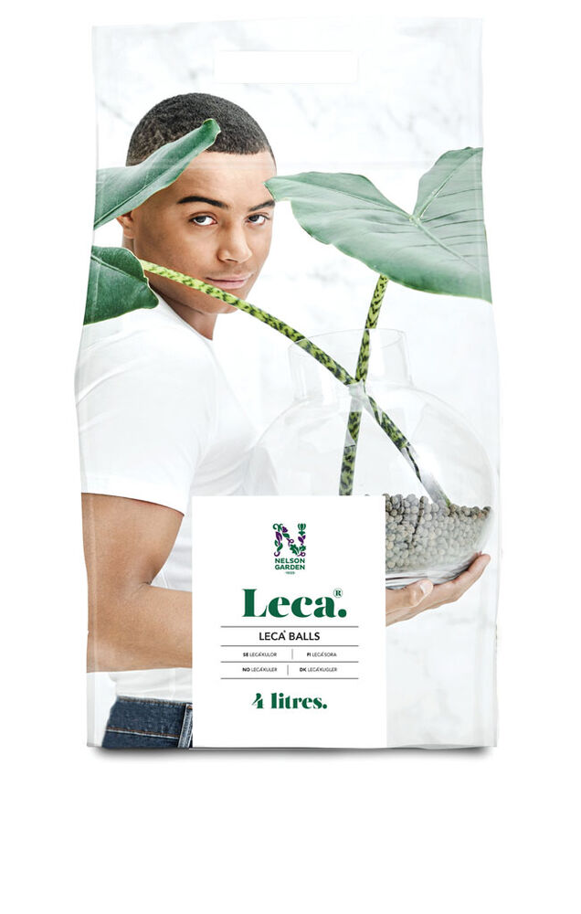 Lecasora 4 l Nelson