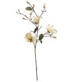 Magnolia 87 cm valkoinen