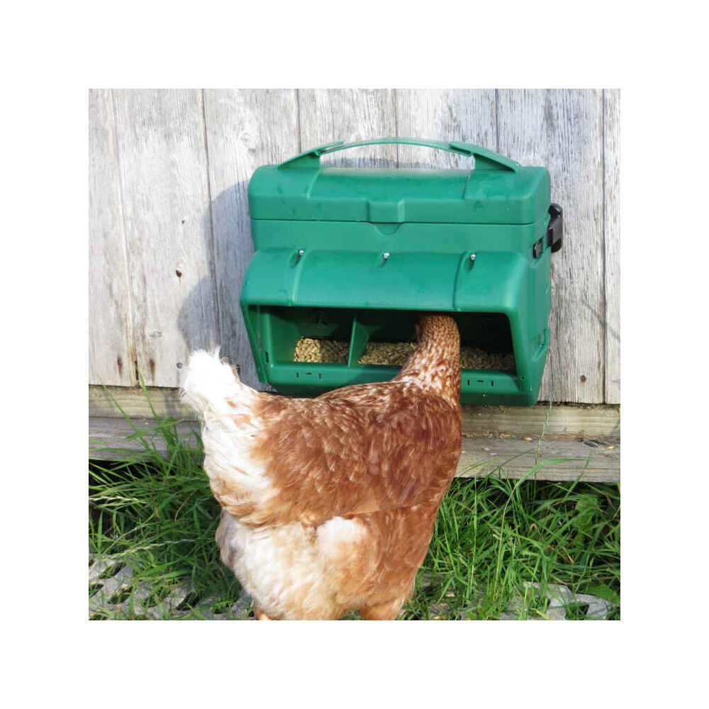 Ruokinta-automaatti Wisefeeder 5 kg
