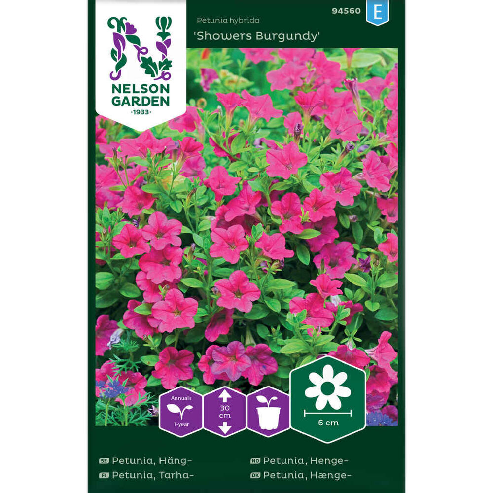 Tarhapetunia Showers Burgundy