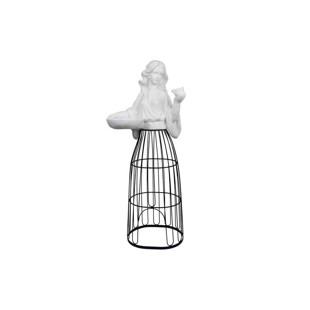 Koriste Lady kärhömekko