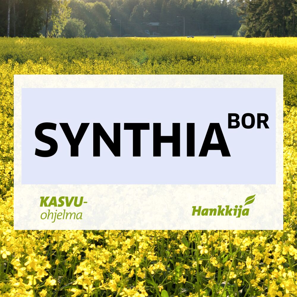 Synthia kevätrypsi