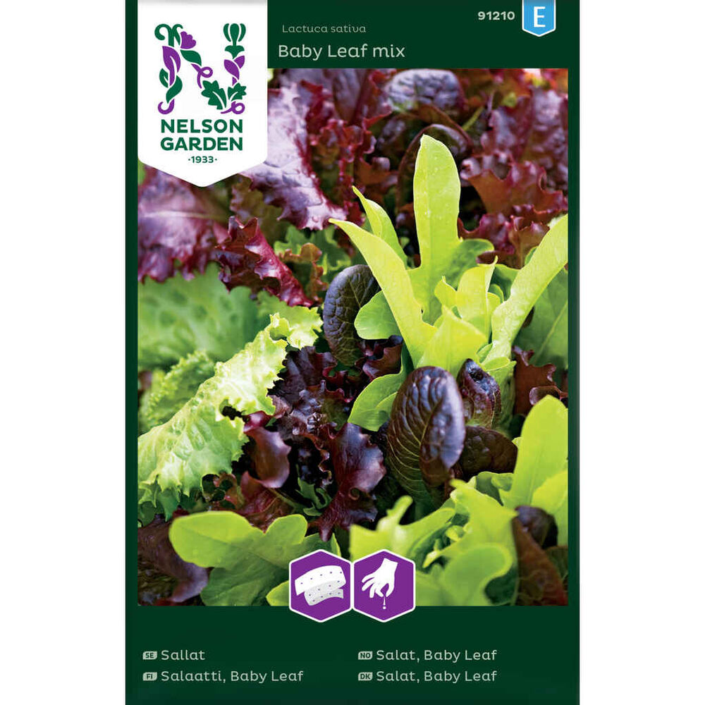 Salaatti Baby Leaf mix kylvönauha