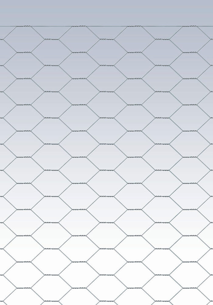 Kuusikulmaverkko 60 cm x 50 m