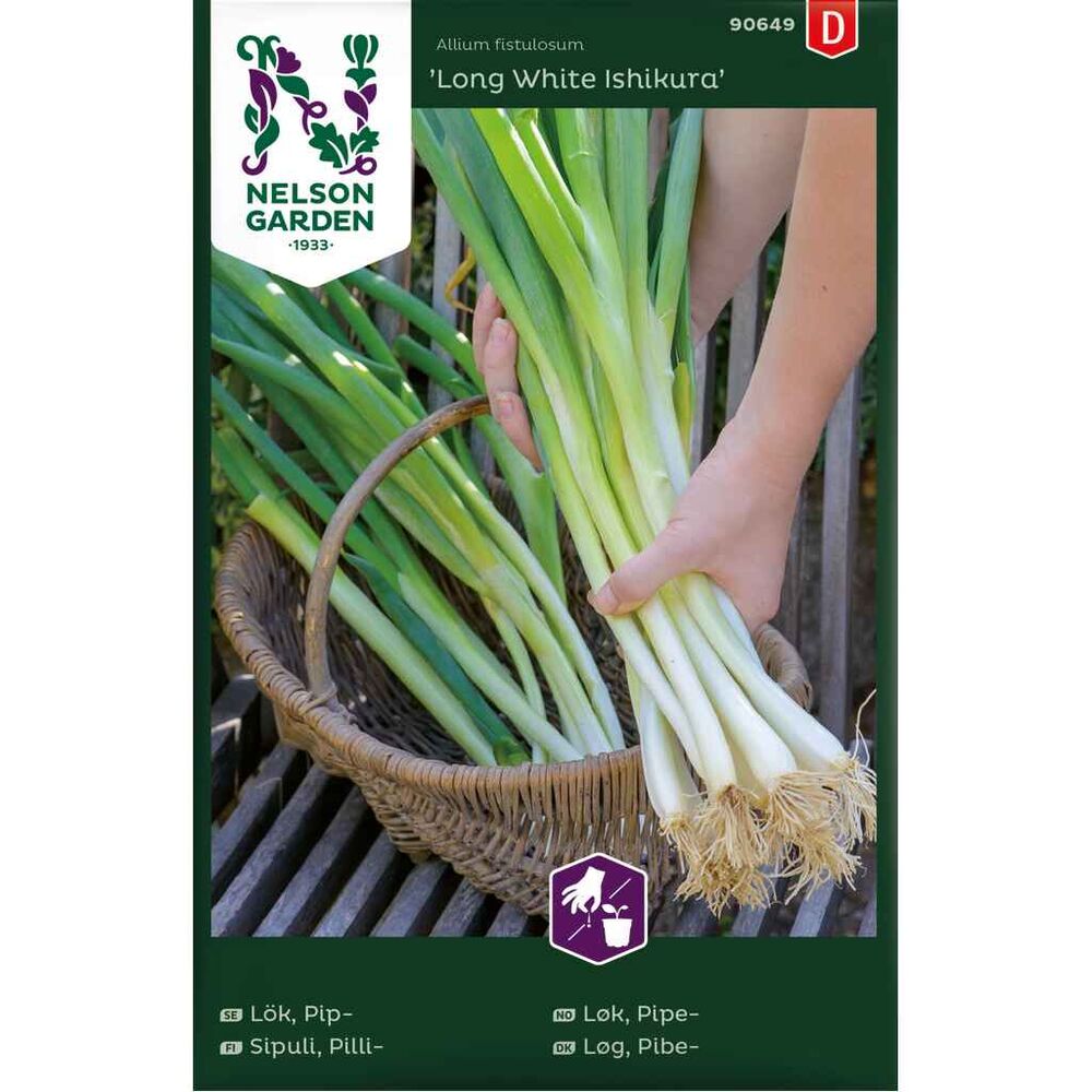Pillisipuli 'Long White Ishikura'