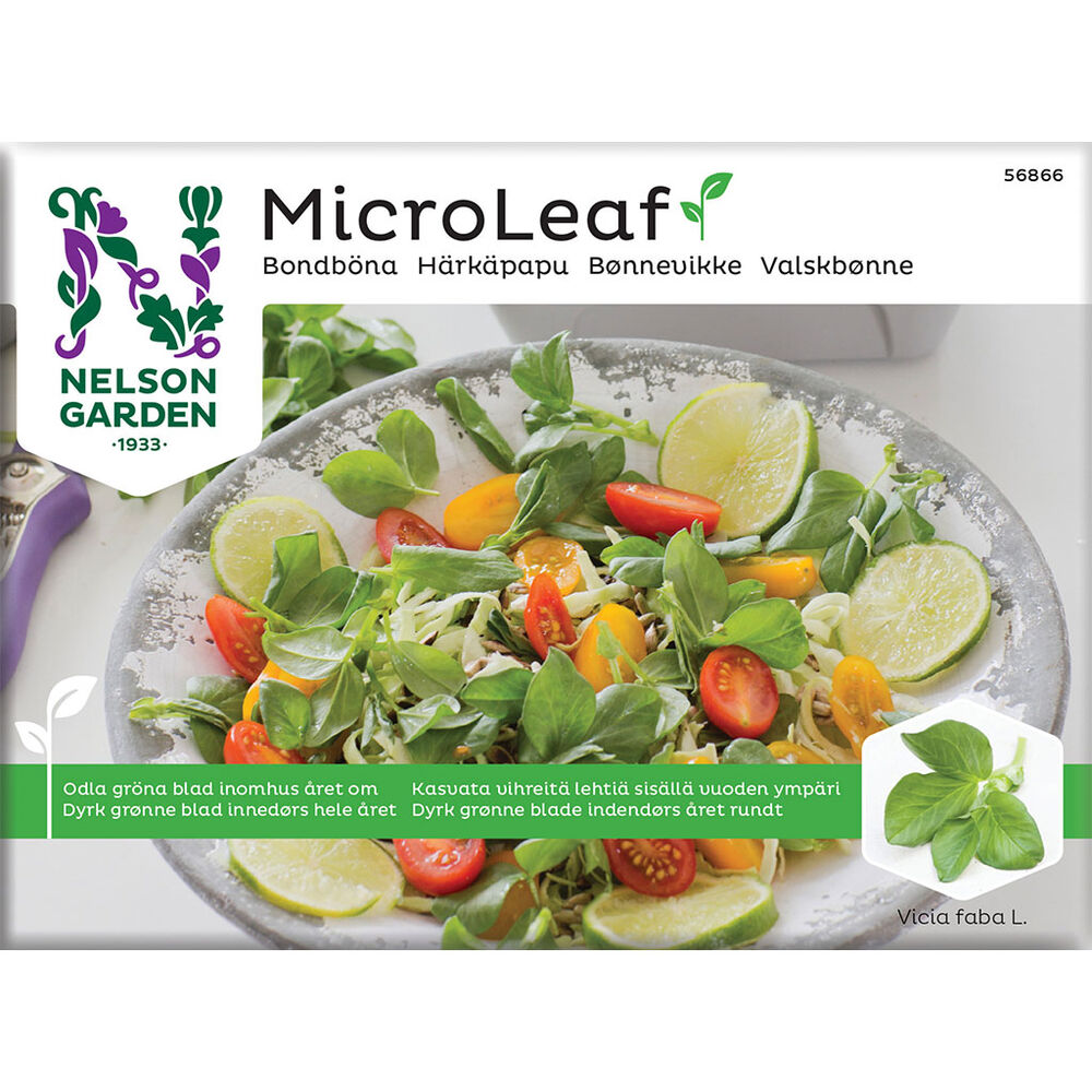 Micro Leaf härkäpapu Nelson
