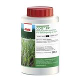 CDQ SX