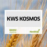 KWS Kosmos syysohra kemiallisesti peitattu 800 kg