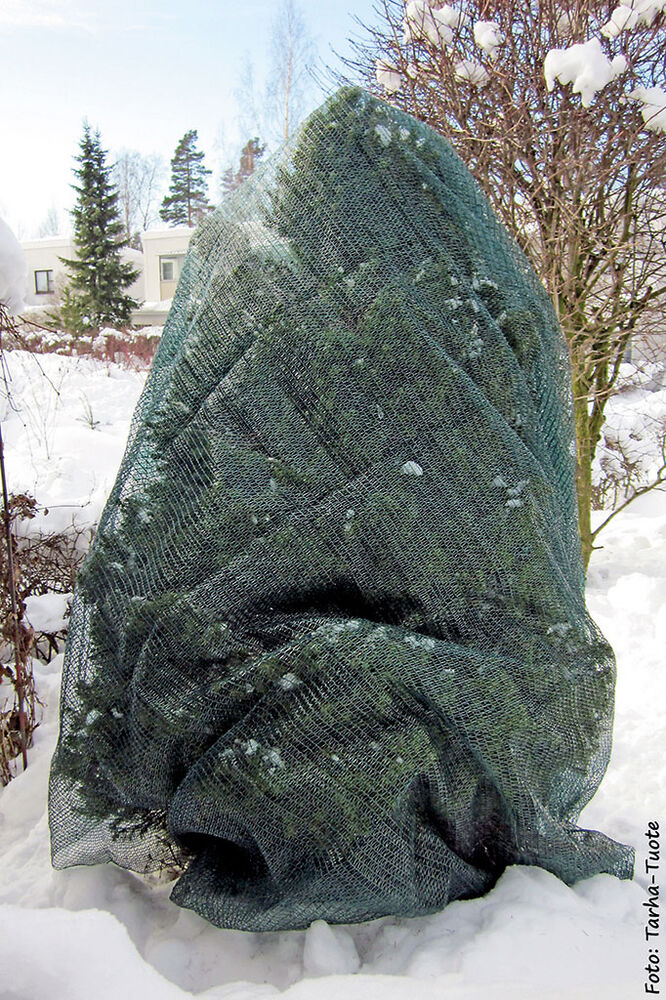 Varjostusverkko
