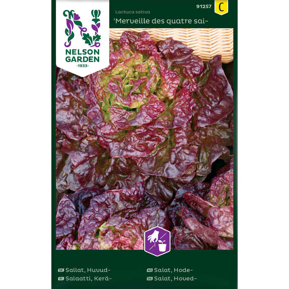 Keräsalaatti Merveille des quatres