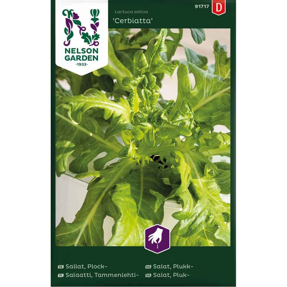 Tammenlehtisalaatti 'Cerbiatta'