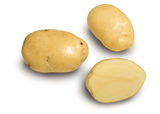 Siemenperuna Siikli