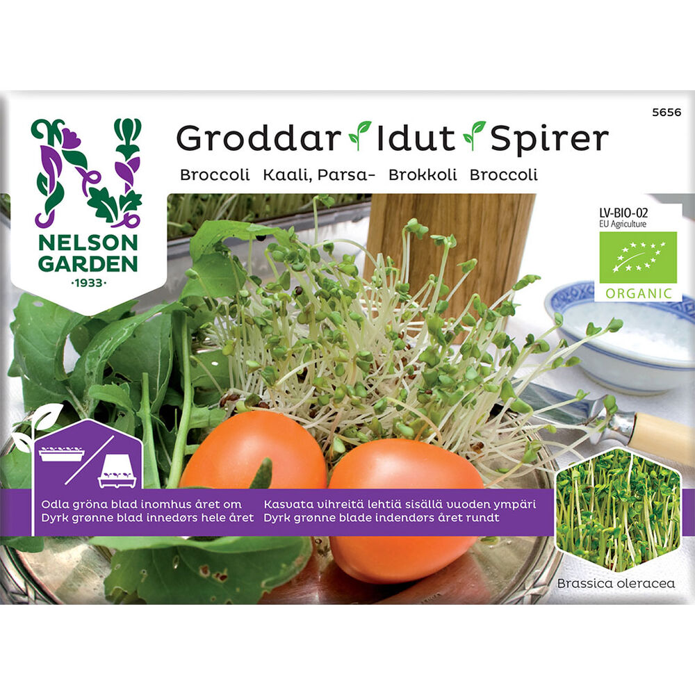 Idut parsakaali luomu Nelson