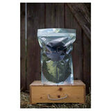 Chia de Gracia Nokkonen 1 kg