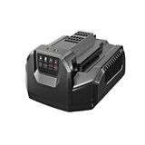EGO Power+ vakiolaturi CH2100E