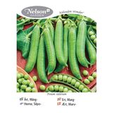 Silpoherne, 'Kelvedon Wonder' 250 g