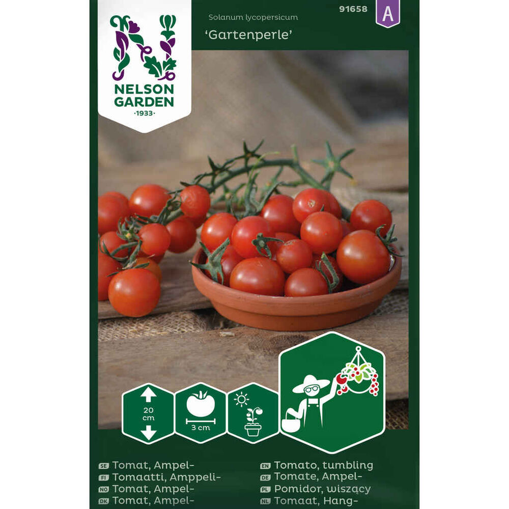 amppelitomaatti 'Gartenperle'