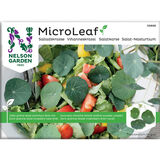 Micro Leaf vihanneskrassi Nelson