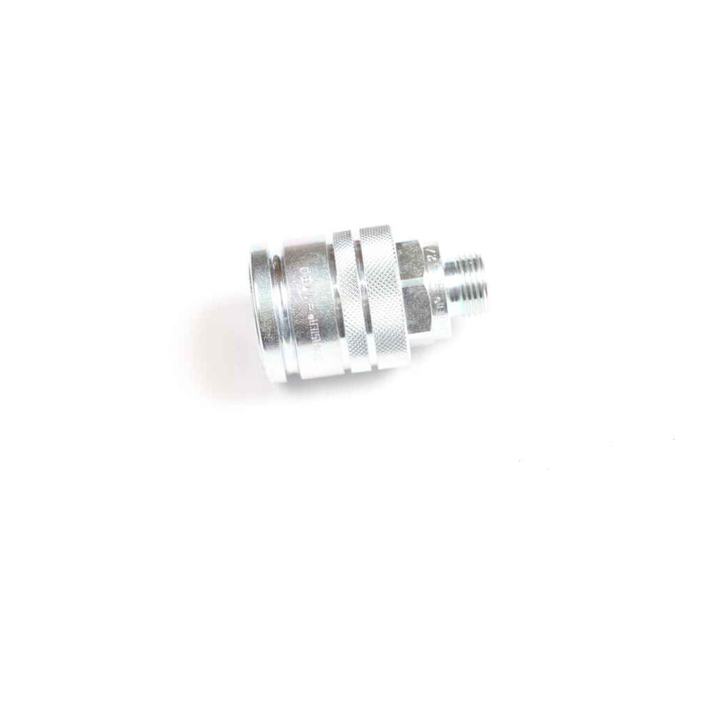 Pikaliitin naaras 1/2, AL172304