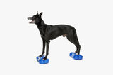 FitPAWS K9FITbone tasapainotyyny koiralle, mini 2 kpl