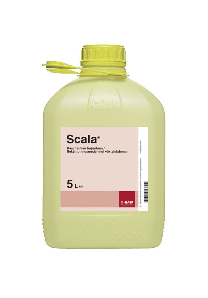 Scala 5 l